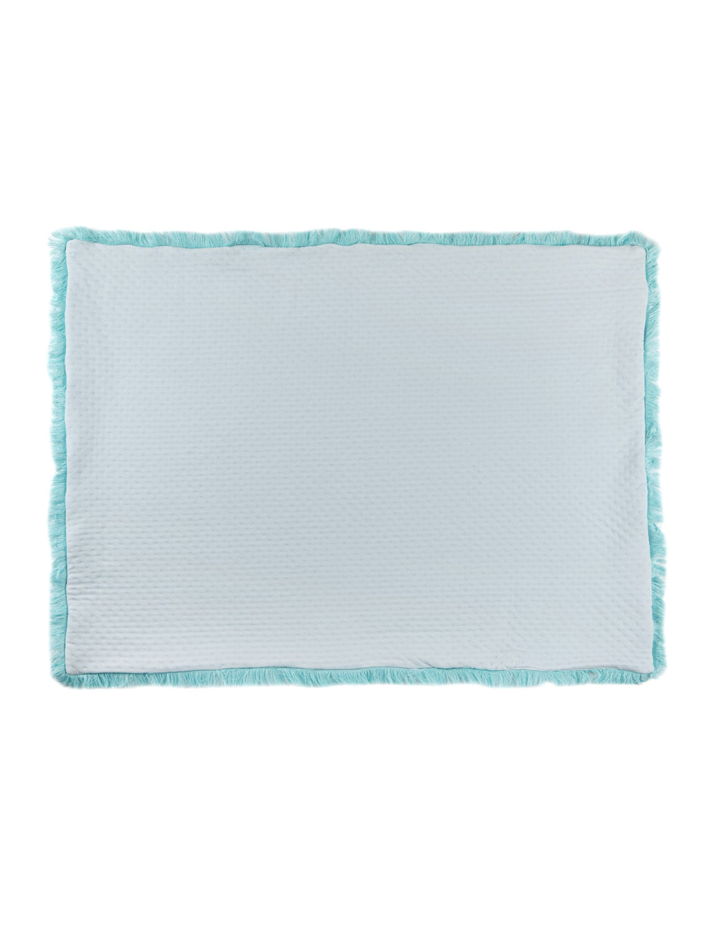 Mint Baby Blanket