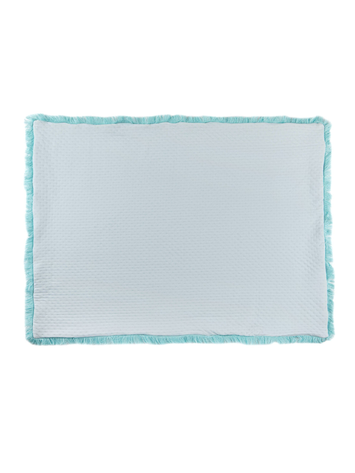 Mint Baby Blanket