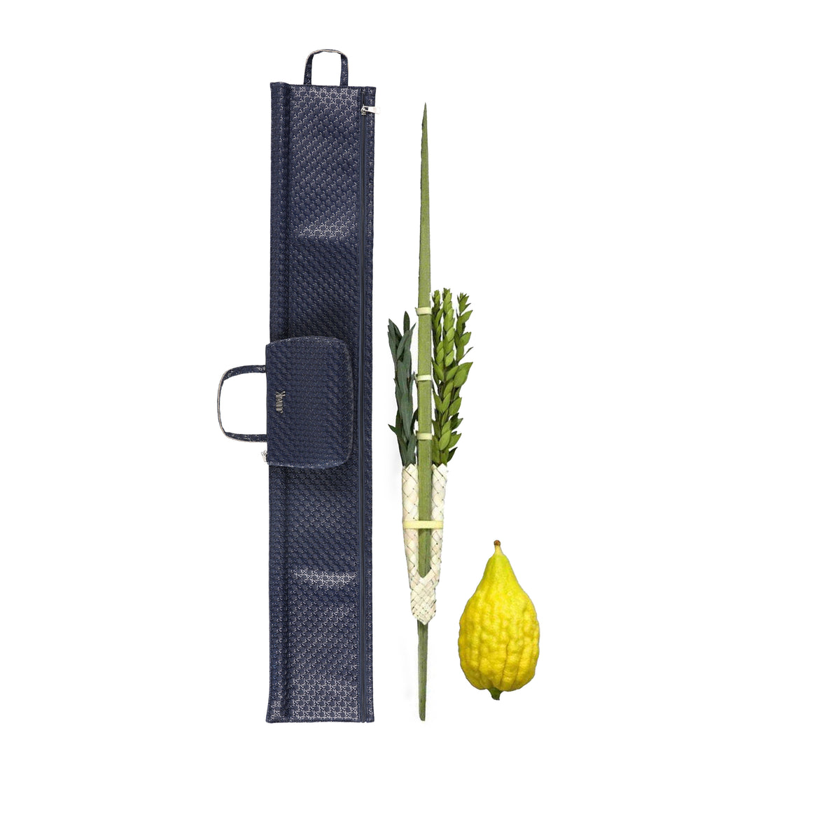 Black Lulav & Etrog Bag